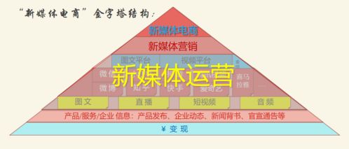 新媒體運(yùn)營中的技術(shù)賦能 從流量獲取到價(jià)值深挖